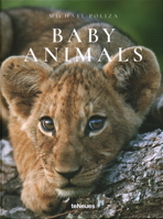 Baby Animals 3961711410 Book Cover