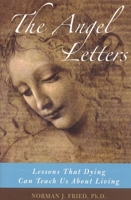 The Angel Letters: Lessons That Dying Can Teach us About Living 156663718X Book Cover