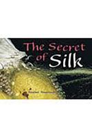 The Secret of Silk 0757826997 Book Cover