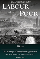 Labour and the Poor Volume VIII: Wales, The Mining and Manufacturing Districts 1913515184 Book Cover
