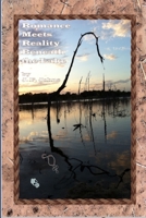 Romance Meets Reality Beneath The Lake 1105110397 Book Cover