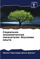 Социально-экономические показатели: Изучение опыта 6205873087 Book Cover