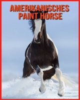 Amerikanisches Paint Horse: Unglaubliche Bilder und Wissenswertes über Amerikanisches Paint Horse B08WP3L2FZ Book Cover