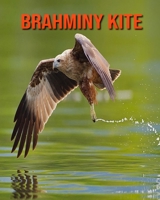 Brahminy kite: Learn About Brahminy kite and Enjoy Colorful Pictures B08KQDYND2 Book Cover
