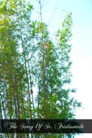 The Story Of St. Frideswide: Virgin And Patroness of Oxford 1466403853 Book Cover