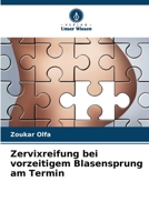 Zervixreifung bei vorzeitigem Blasensprung am Termin 6206198162 Book Cover