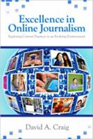 Excellence in Online Journalism: Exploring Current Practices in an Evolving Environment 1412970091 Book Cover