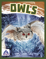 Owls 1637381476 Book Cover