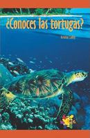 ¿Conoces las tortugas? (Tell Me About Turtles) 1404274685 Book Cover