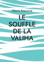 Le souffle de la valiha: Monts compost'Ailes (French Edition) 2322505161 Book Cover