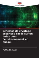 Schémas de cryptage sécurisés basés sur un index pour l'environnement en nuage 620599917X Book Cover