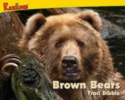 Brown Bears 1615413758 Book Cover