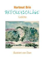 Brückenschläge: Gedichte 3833010630 Book Cover