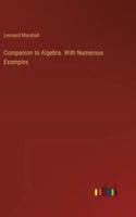 Companion to Algebra. With Numerous Examples 3385330106 Book Cover