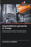 Imprenditoria giovanile in Congo (Italian Edition) 6208157846 Book Cover