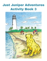 Activity Book 3: Secret at the Lighthouse JUST JUNIPER B0CFCHM94V Book Cover
