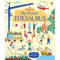 Big Picture Thesaurus 1409598748 Book Cover