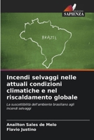 Incendi selvaggi nelle attuali condizioni climatiche e nel riscaldamento globale (Italian Edition) 620831058X Book Cover