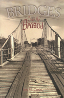 Bridges over the Brazos 087565312X Book Cover