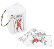 Anatomy & Kinesiology Flashcards 1450428371 Book Cover