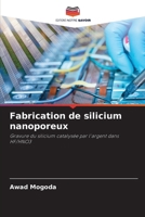 Fabrication de silicium nanoporeux (French Edition) 6206927350 Book Cover