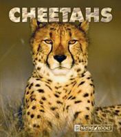Cheetahs 1592966322 Book Cover