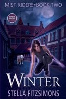 Winter: Urban Fantasy - Nebelreiter 2 (Deutsche Ausgabe) (German Edition) B0H428J9H1 Book Cover