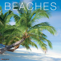 Beaches 2023 Wall Calendar 1549224751 Book Cover