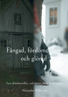 Fångad, fördömd, fast och glömd: Fyra skräcknoveller...och början på en ny berättelse (Swedish Edition) 918080926X Book Cover