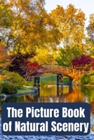 The Picture Book of Natural Scenery: A Calming Colorful Book for Seniors with Dementia – Caregiving Present & Gift for Alzheimer’s Patients B093CHL3C8 Book Cover