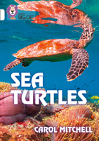 Sea Turtles 0008432201 Book Cover