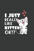 I Just Really Like Kittens OK?: 6x9 Inch Journal Diary Notebook 110 Blank Lined Pages Cute Kitten Gift 1661645216 Book Cover