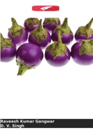 Gestão e economia de Lucinodes orbonalis com insecticidas 620530175X Book Cover