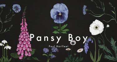 Pansy Boy 1909954241 Book Cover