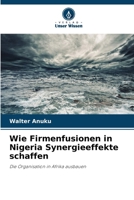 Wie Firmenfusionen in Nigeria Synergieeffekte schaffen (German Edition) 6208145597 Book Cover