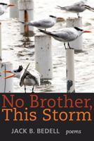 No Brother, This Storm: Poems 0881466751 Book Cover