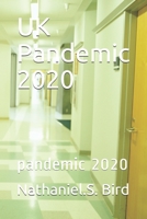 UK Pandemic 2020: pandemic 2020 B08MMRBJTN Book Cover