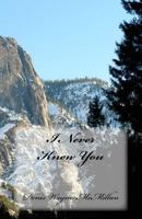 I Never Knew You 1541090969 Book Cover