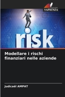 Modellare i rischi finanziari nelle aziende (Italian Edition) 6209782736 Book Cover