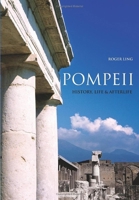 Pompeii: History, Life and Afterlife 0752414593 Book Cover