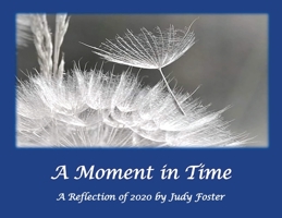 A Moment in Time: A Reflection of 2020 1641845813 Book Cover