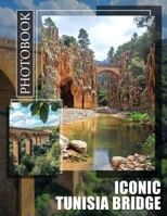 Iconic Tunisia Bridge Photo Book: Stunning Images Featuring Unique Architecture And Scenic Views Across Tunisia's Iconic Bridges B0DPM1PVS8 Book Cover