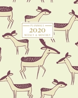 2020: Weekly and Monthly Planner/Calendar Jan 2020 - Dec 2020 Cute Tan Deer Pattern 169903690X Book Cover