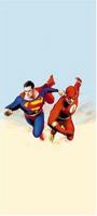 Superman vs. The Flash 1401204562 Book Cover