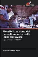 Flessibilizzazione del consolidamento delle leggi sul lavoro: Legge sui tirocini 11788/2008 6206315045 Book Cover