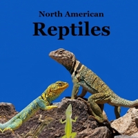 Reptiles of North America Kids Book: Great Children's Reptile Book about Snakes, Lizards, Turtles, Alligators 1965098517 Book Cover