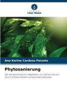 Phytosanierung (German Edition) 6209563635 Book Cover