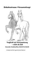Einbahnstrasse «Versammlung»: Für jedes Pferd, für jedes Pony! Für jede Rasse! Für jedes Alter! B0G4DW38G4 Book Cover