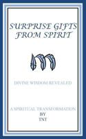 Surprise Gifts from Spirit: Divine Wisdom Revealed, A Spiritual Transformation 146800784X Book Cover