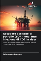 Recupero assistito di petrolio (EOR) mediante iniezione di CO2 in riser (Italian Edition) 6208927072 Book Cover